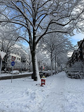 Eine verschneite Wohnstraße mit ungeräumtem Gehweg