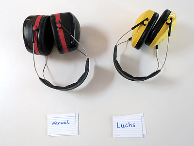 Zwei Lärmschutzkopfhörer liegen auf einem Tisch. Darunter liegen Zettel beschriftet mit den Wörtern Narwal und Luchs